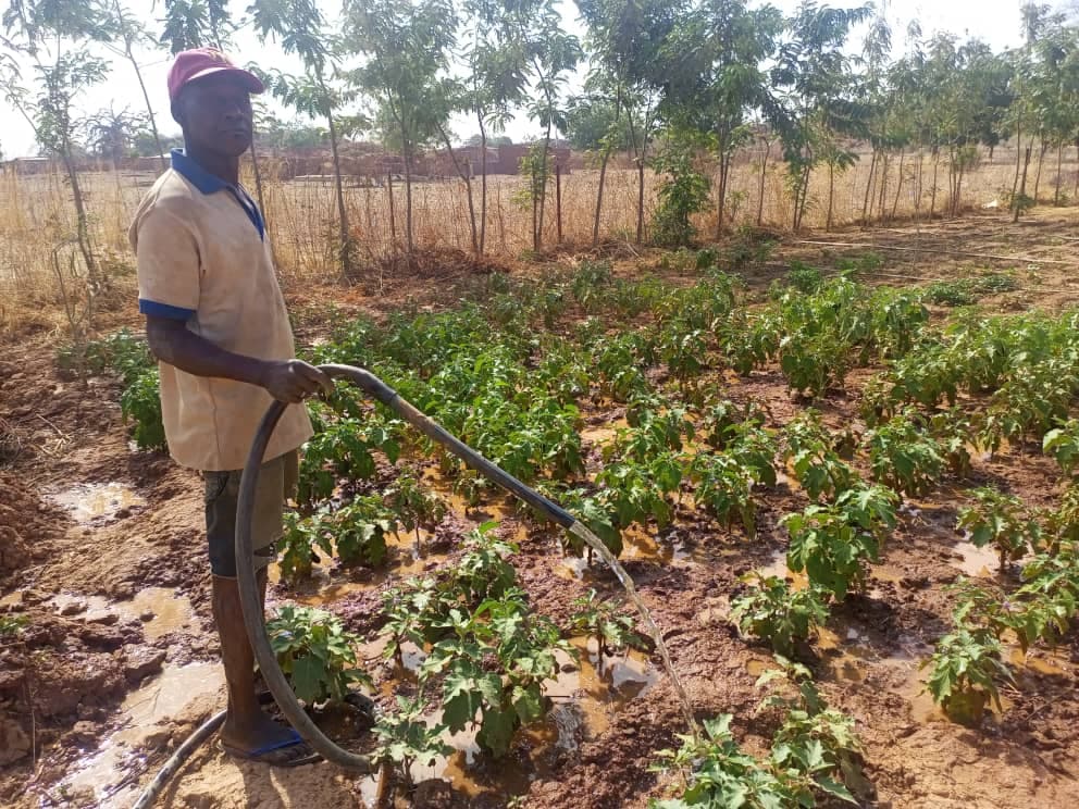 Tamounte au Burkina Faso : résilience